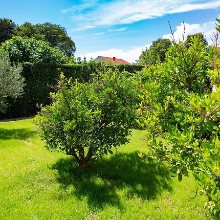 Iadertina Duplex With Garden * Ζαντάρ